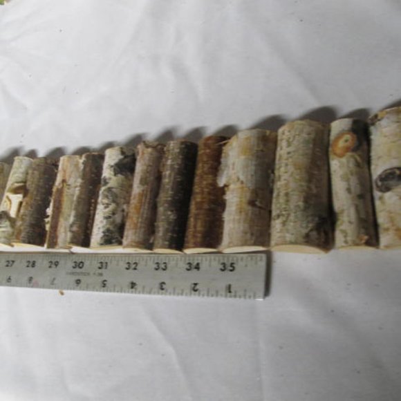 White Birch Bark Tree Decor Birch Bark Tree Decor Rustic Wedding wood decor - Picture 3 of 5